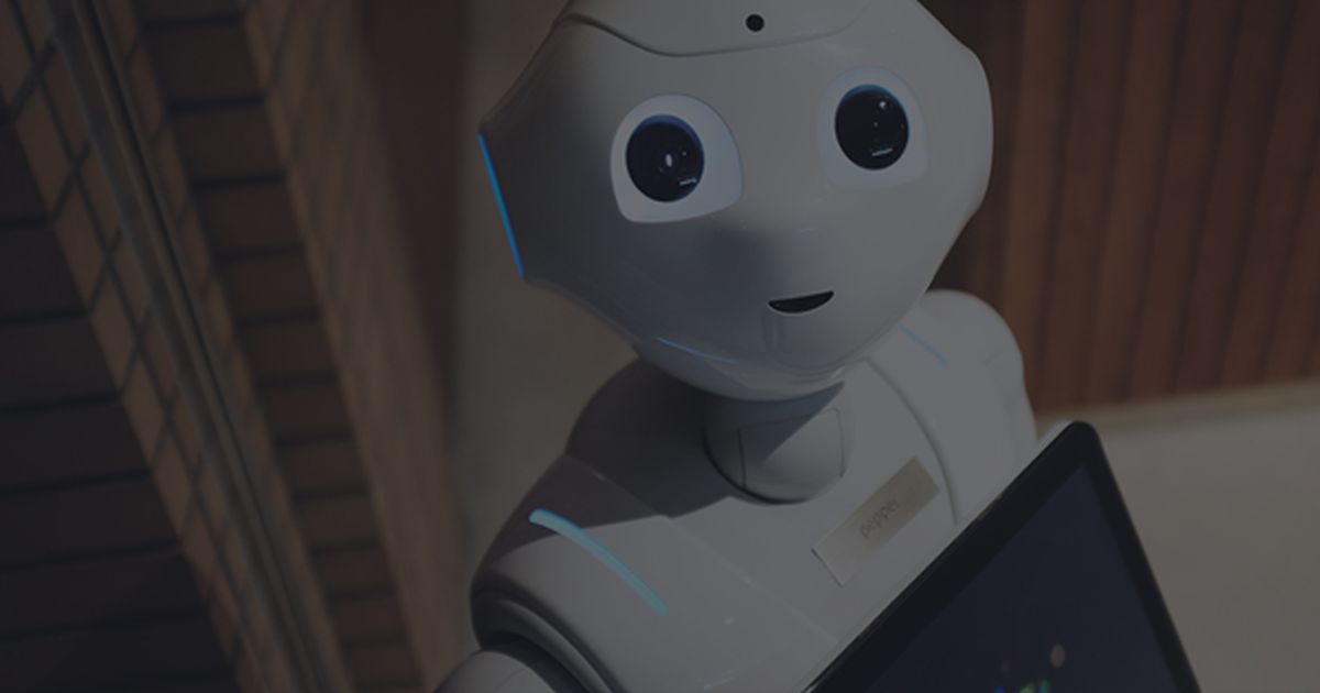 Bot Bot