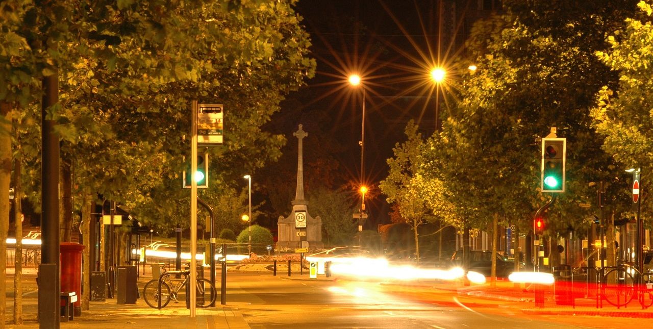 Stadtbäume Stadtbäume