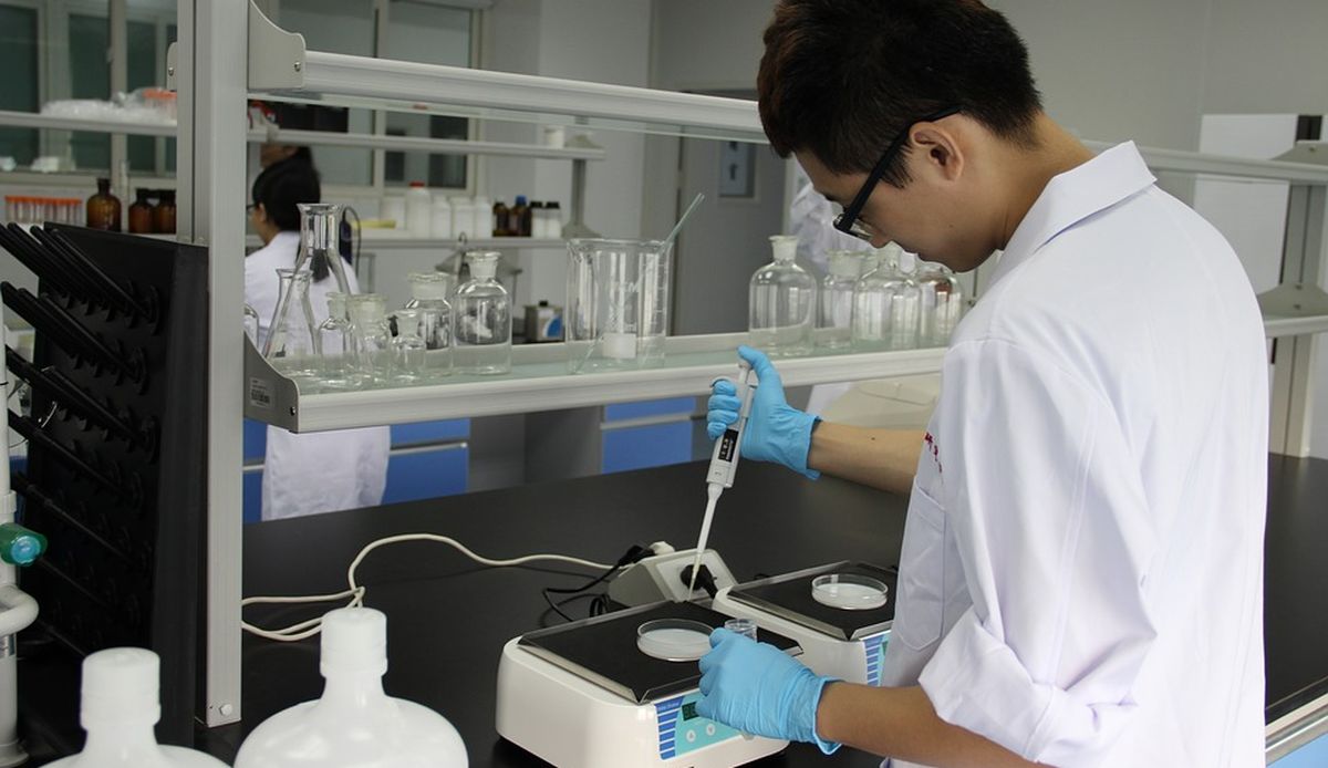 Lab Lab