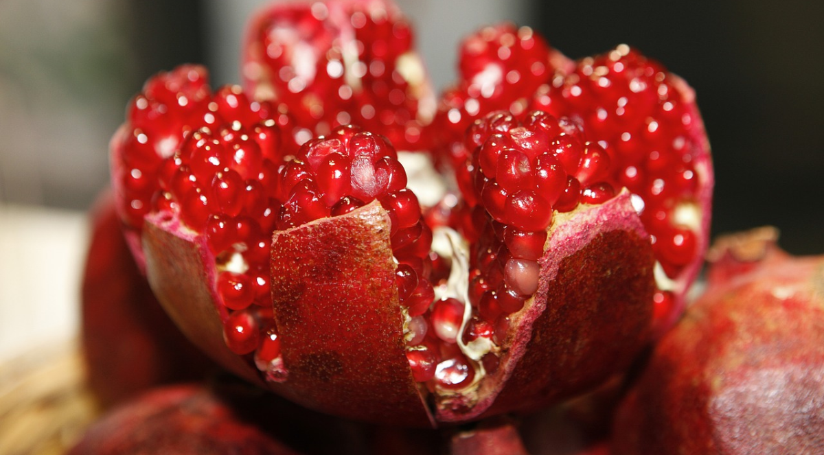 pomegranate pomegranate
