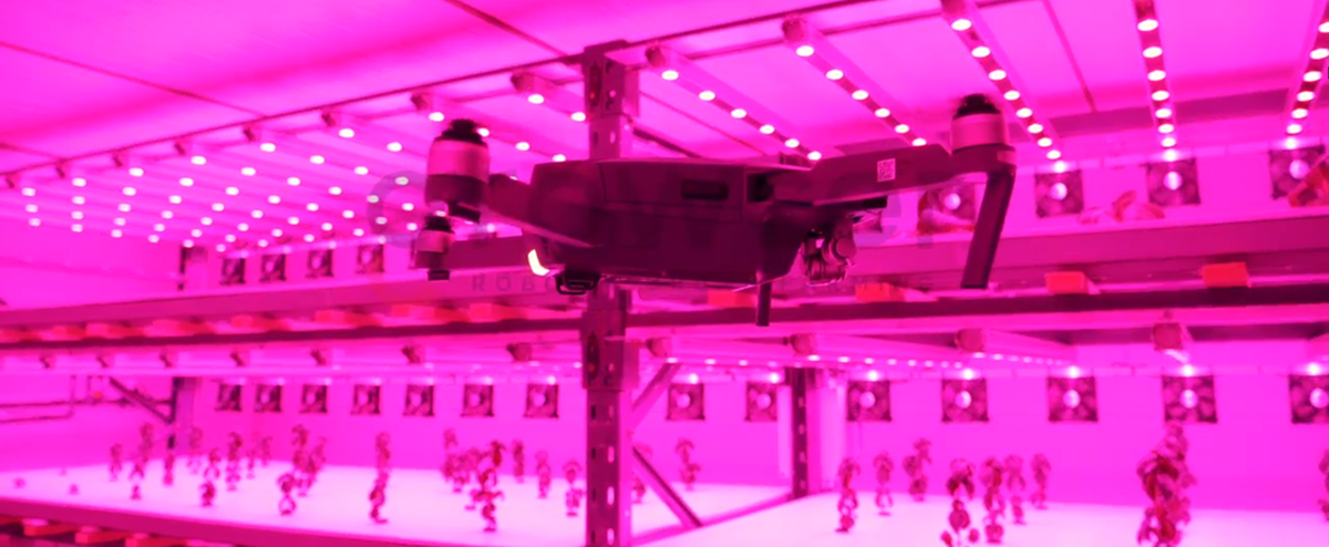 Drone monitoring at Growcer Drone monitoring at Growcer