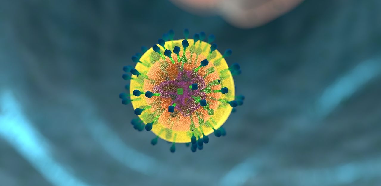 Immune System Helper Cell Immune System Helper Cell
