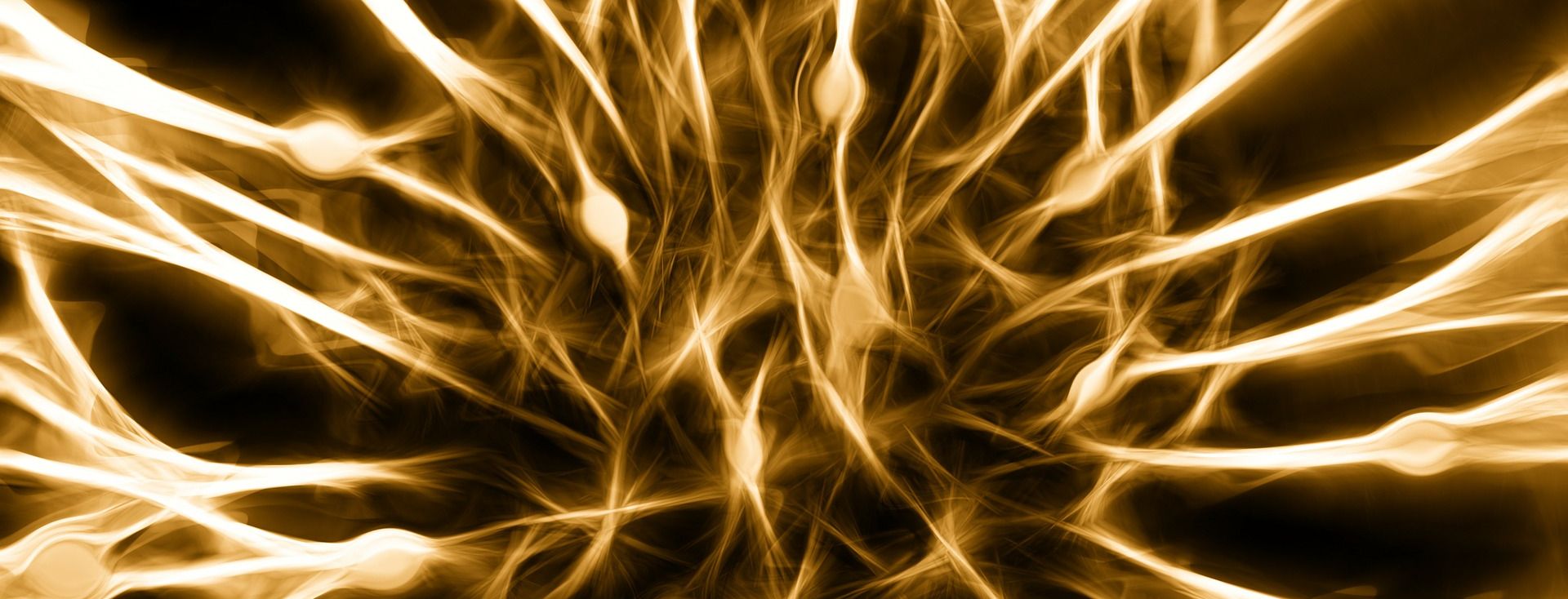 Nervensystem
