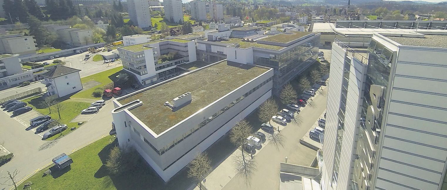 Startfeld Startfeld