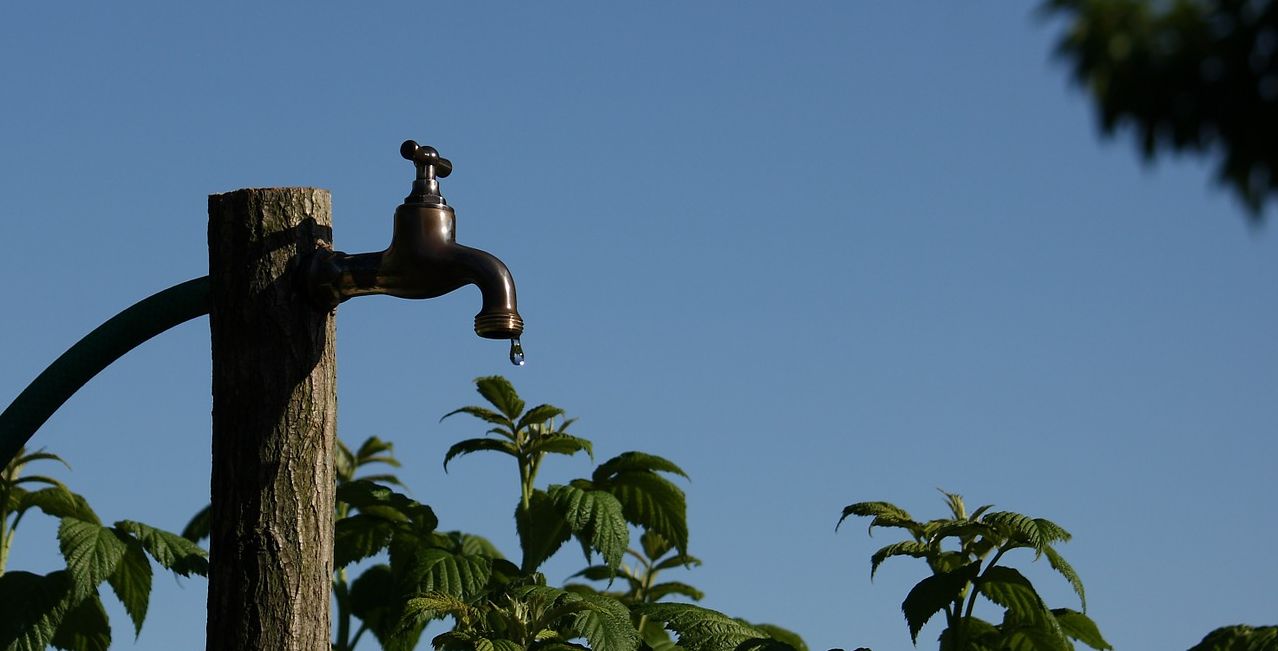 Wasserhahn Wasserhahn