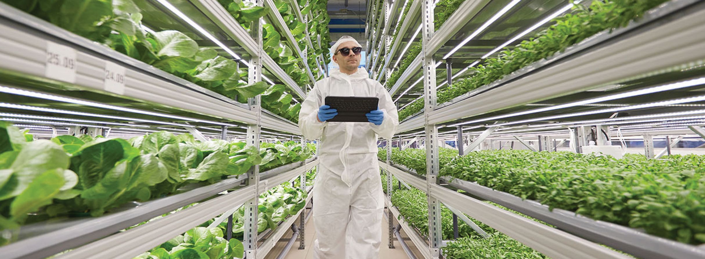 Vertical Farming Vertical Farming
