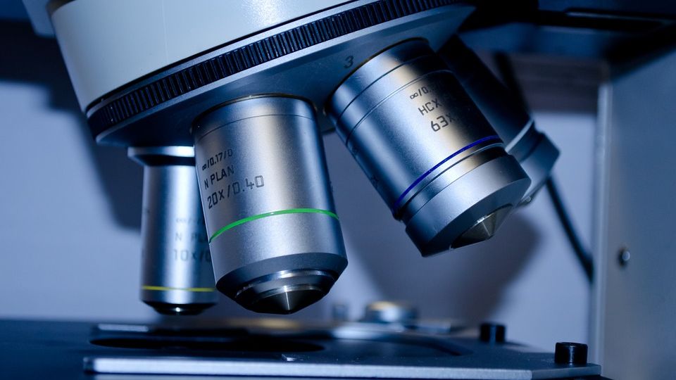 biochemistry biochemistry
