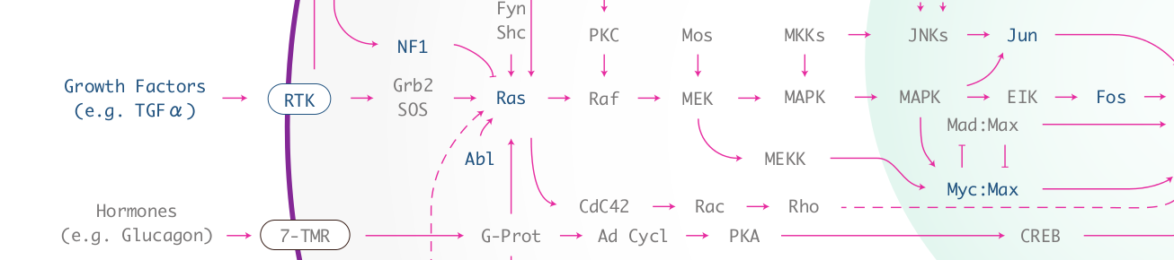 Biognosys