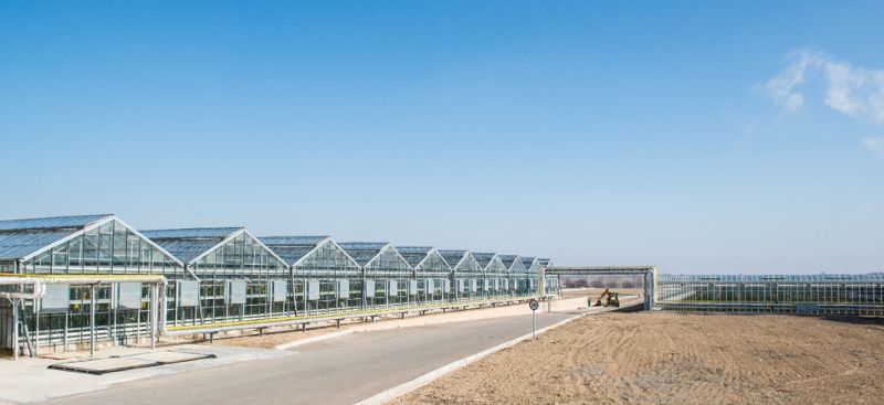 Greenhouses