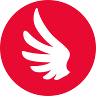 Highly active business angel Highly active business angel