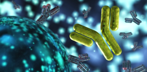 symbolic picture antibodies