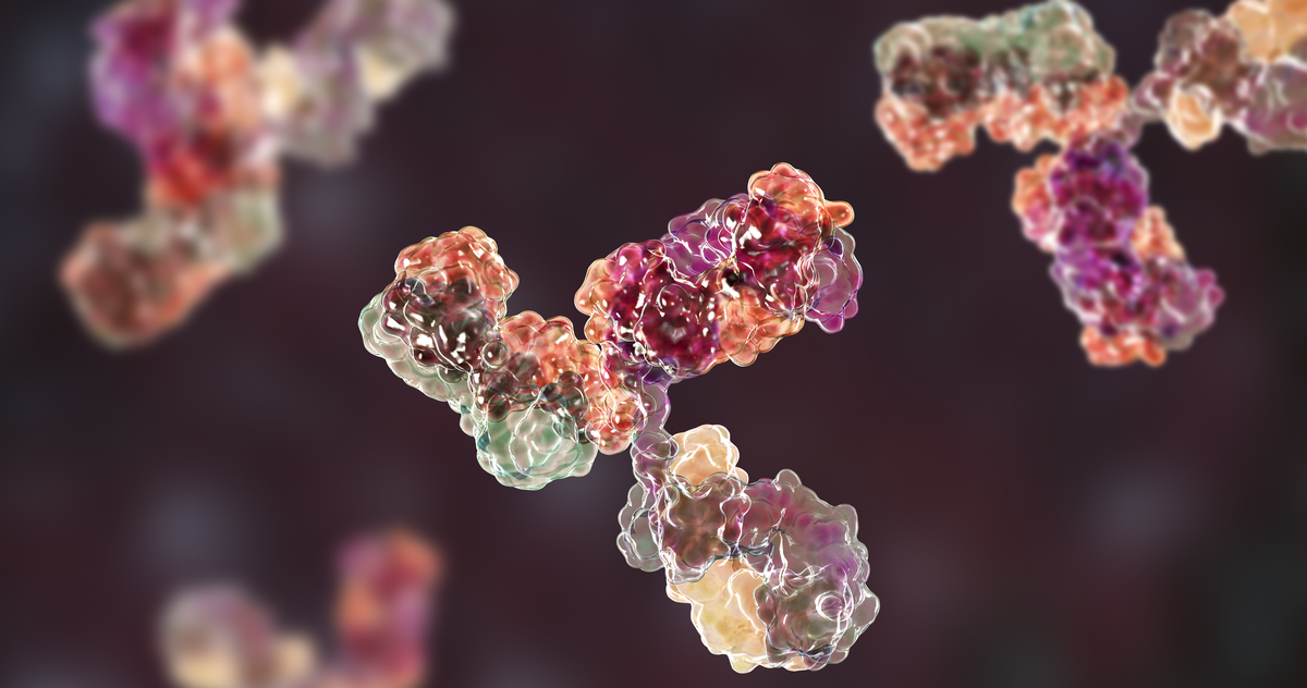 symbolic picture antibodies