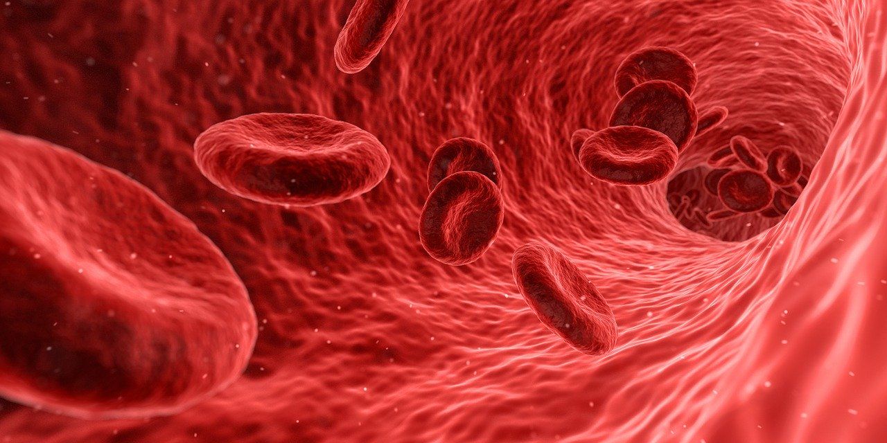 symbolic picture blood symbolic picture blood