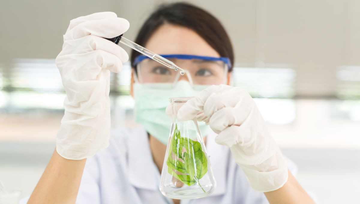 symbolic picture botanical drug symbolic picture botanical drug