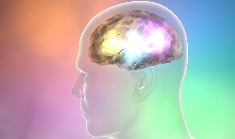symbolic picture brain