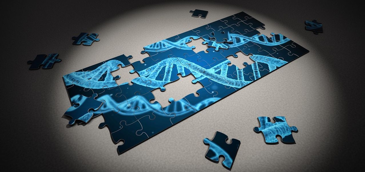 DNA DNA