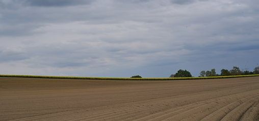 Landwirtschaft