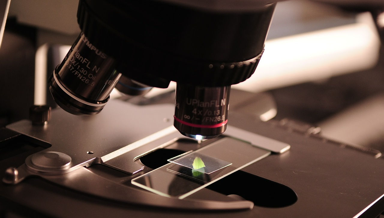 Microscope
