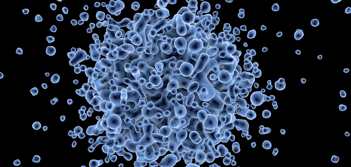 Cells Cells