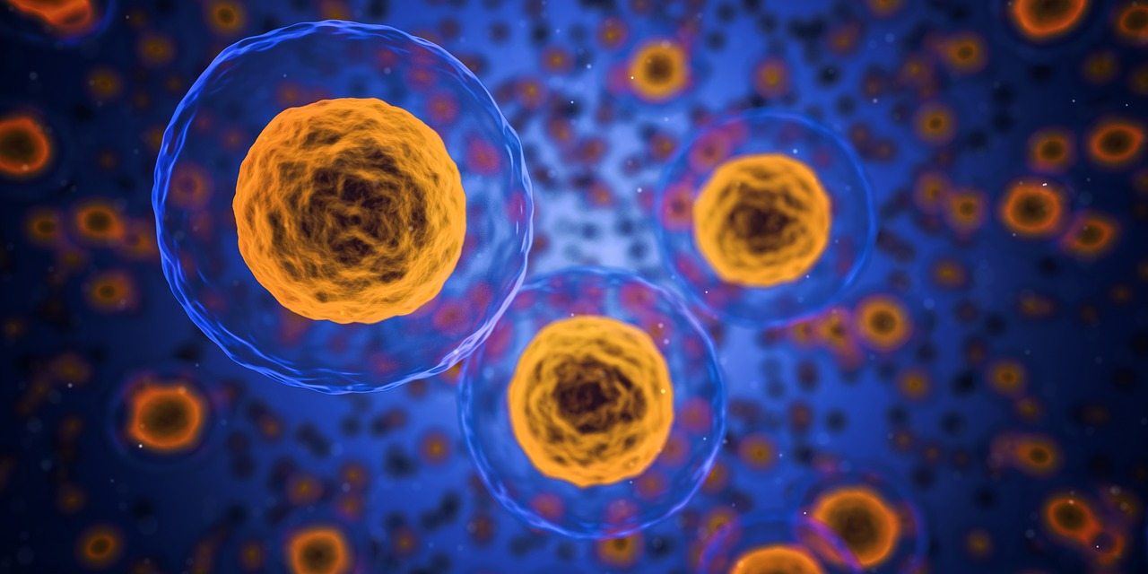 Cells Cells
