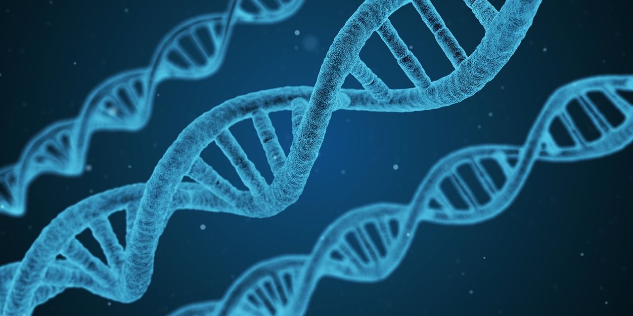 DNA DNA
