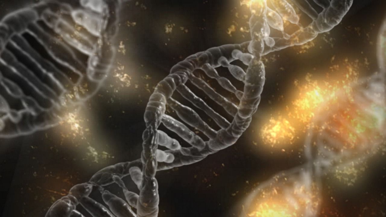 symbolic picture DNA