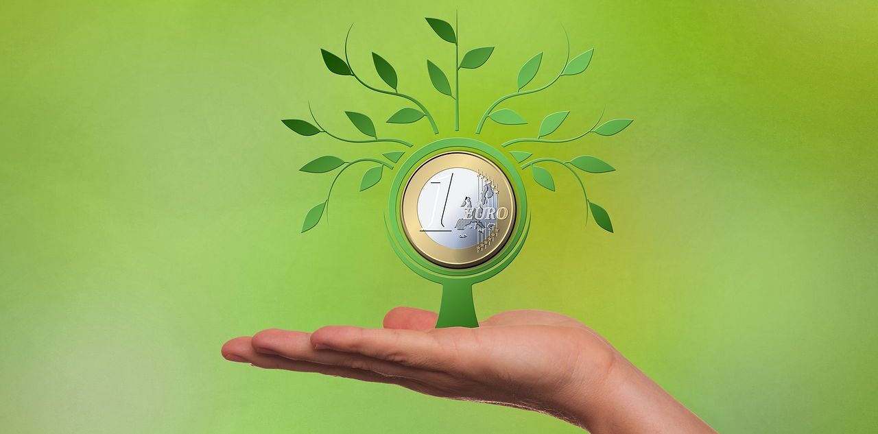 symbolic picture Euro symbolic picture Euro