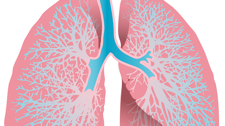 symbolic picture lung symbolic picture lung