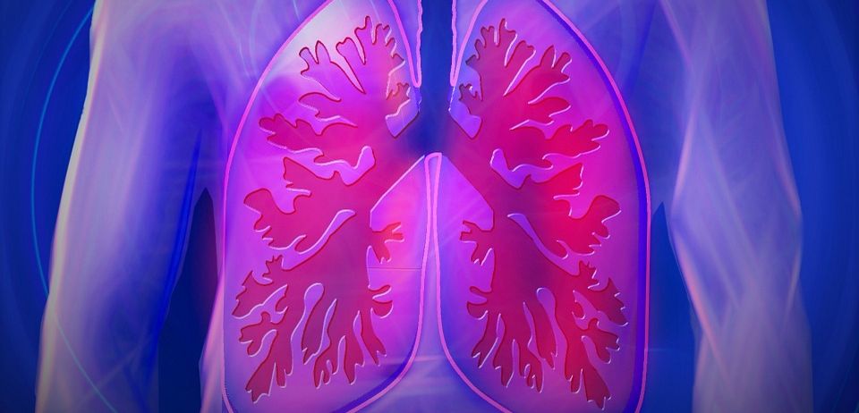 lung lung