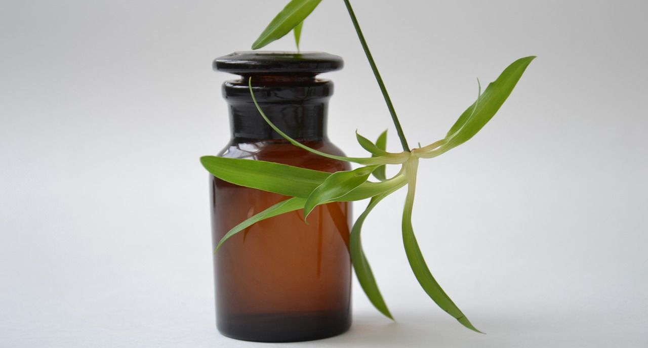 Symbolic Picture Plant Symbolic Picture Plant