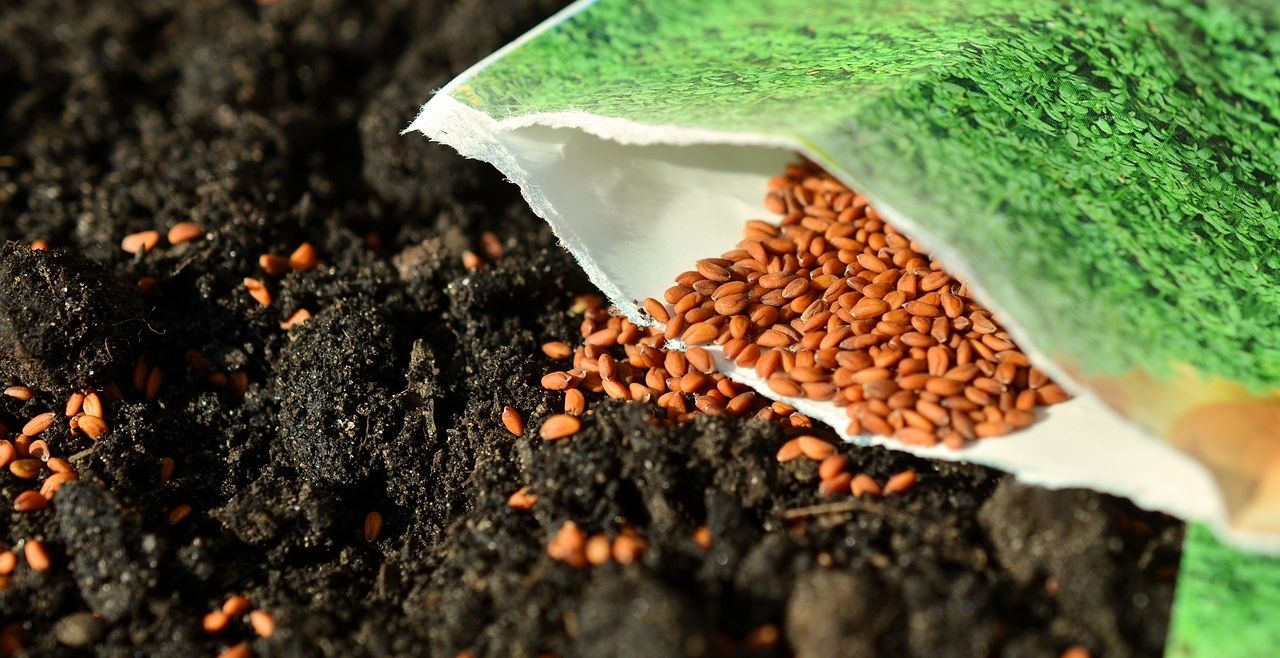 Seed package