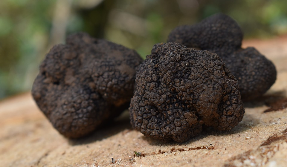 Truffles